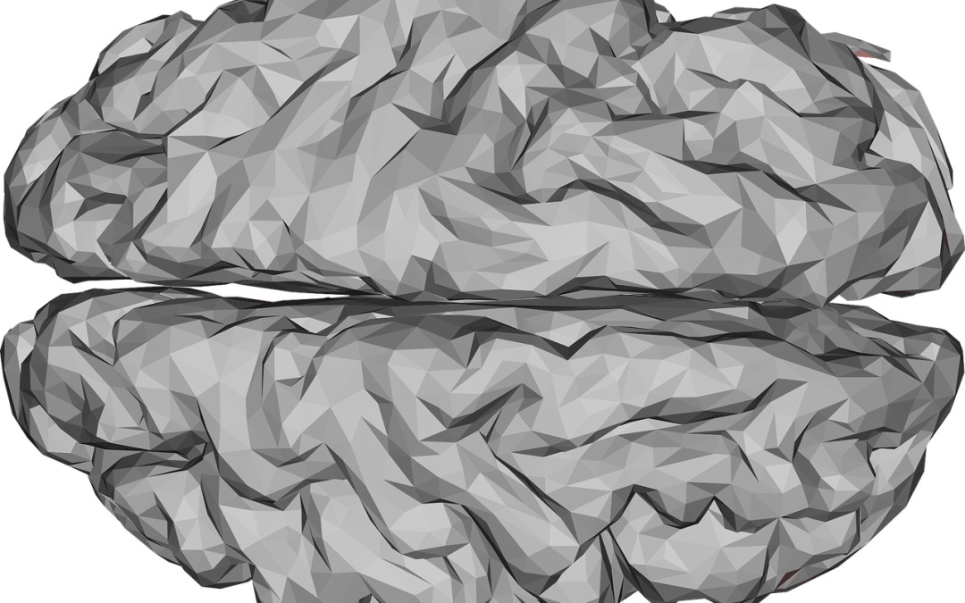 Mauna Kea Technologies obtains first ever FDA clearance for applications of Cellvizio® Confocal Laser Endomicroscopy in Neurosurgery