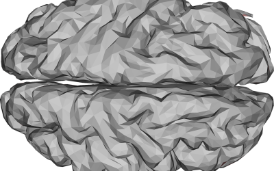 Mauna Kea Technologies obtains first ever FDA clearance for applications of Cellvizio® Confocal Laser Endomicroscopy in Neurosurgery