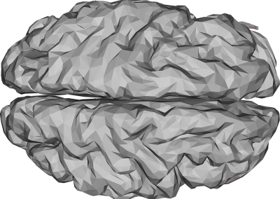 Mauna Kea Technologies obtient la première autorisation de la FDA pour les applications de l’endomicroscopie laser confocale avec Cellvizio® en neurochirurgie