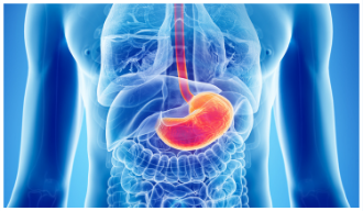Mauna Kea Technologies annonce le remboursement par l’assurance maladie des procedures d’endomicroscopie pour l’oesophage de Barrett en France